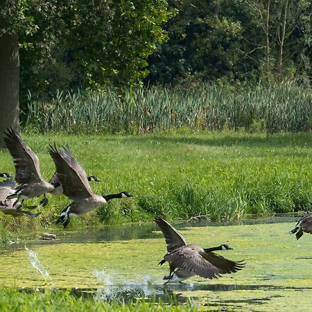 B&B Park7 Wavre - Leuven Huldenberg Kültér fotó