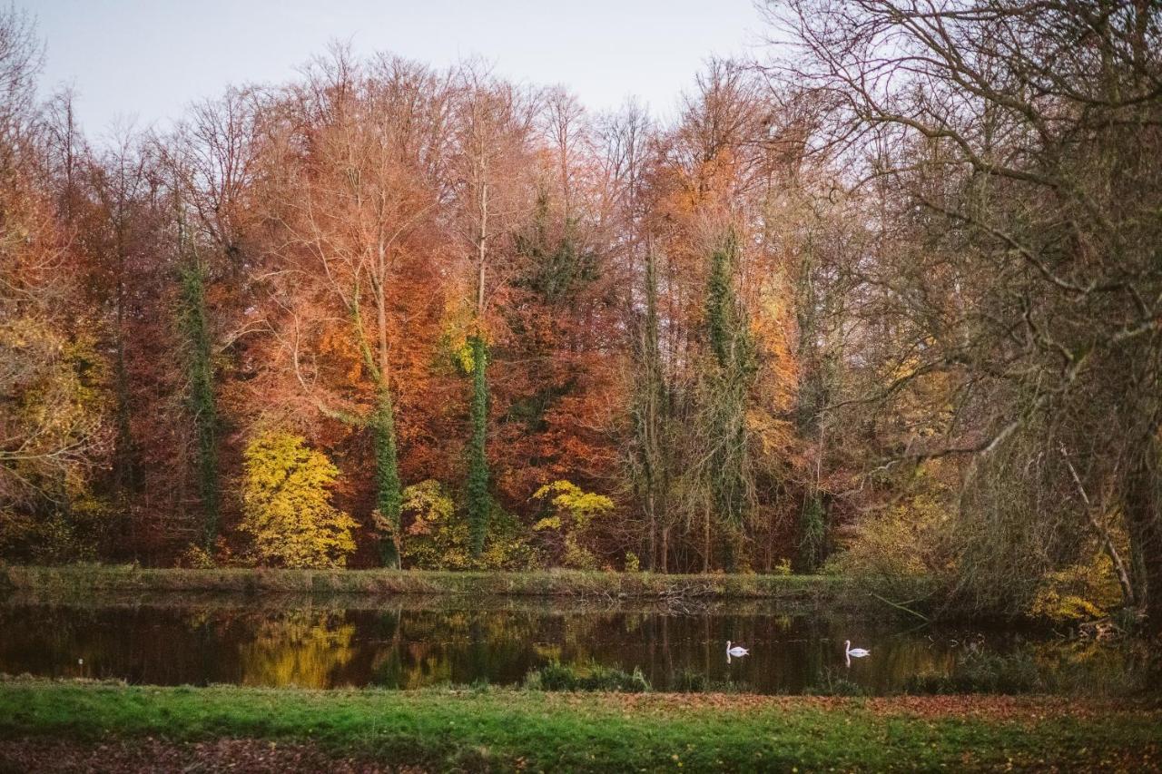B&B Park7 Wavre - Leuven Huldenberg Kültér fotó