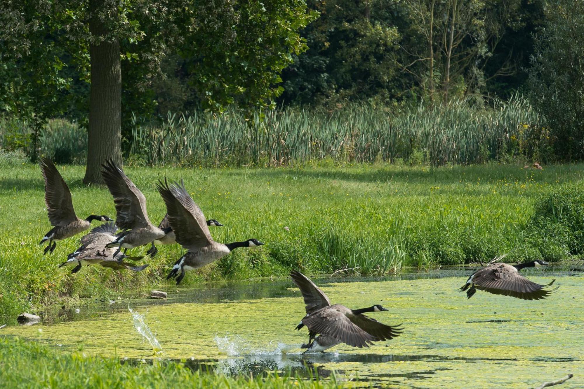 B&B Park7 Wavre - Leuven Huldenberg Kültér fotó